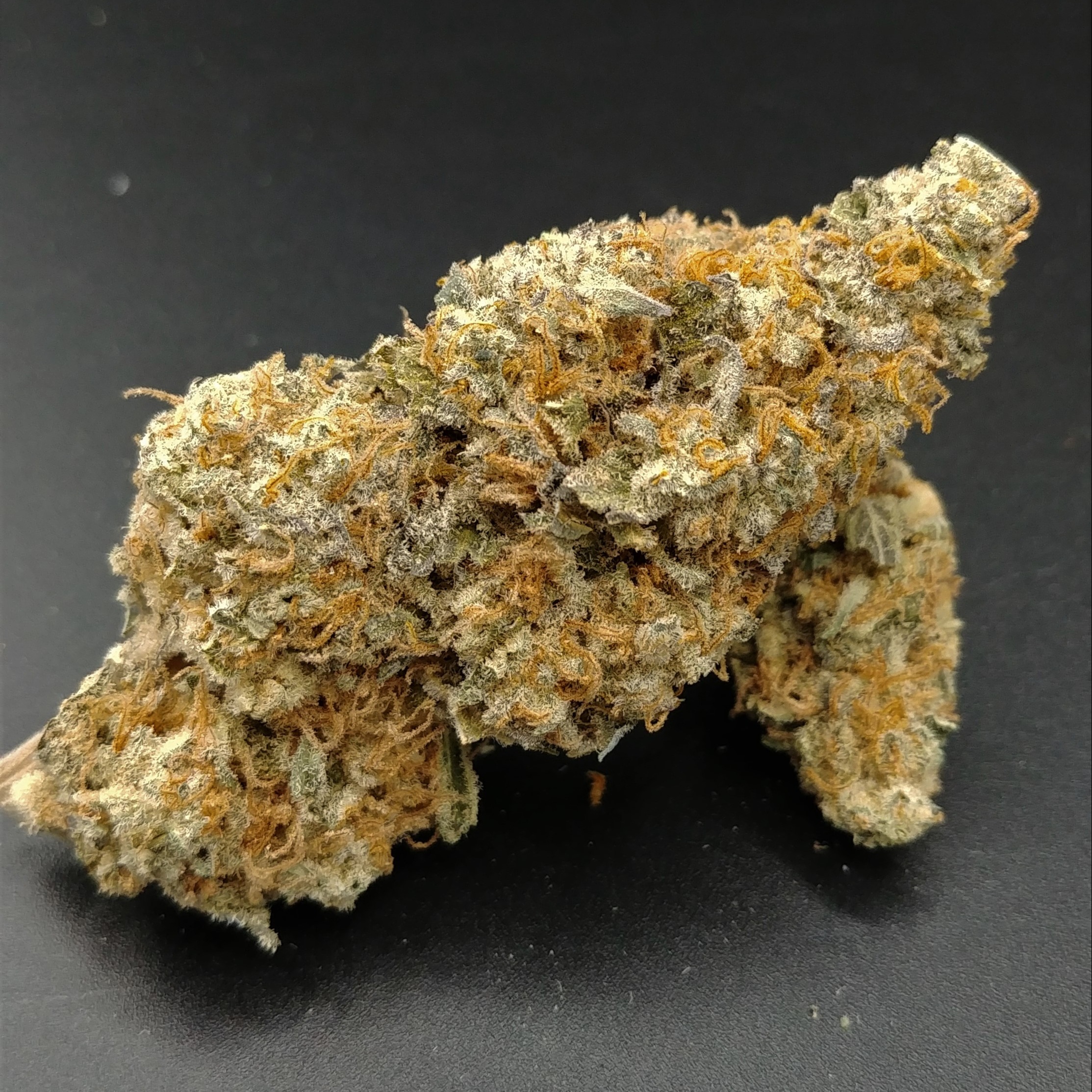 (MED) Mrs. MAC